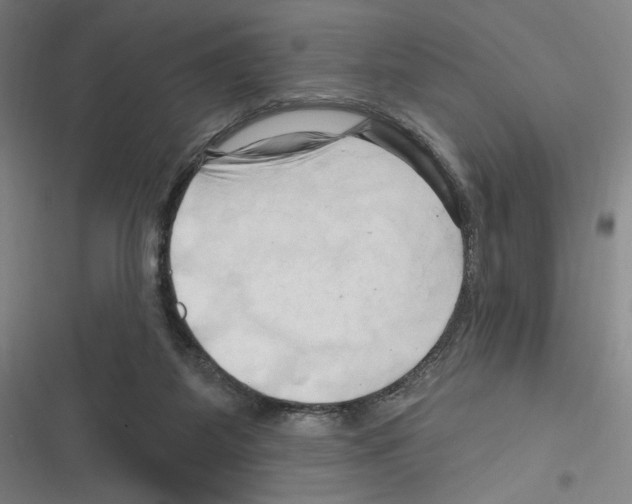X0000116280115201001111044