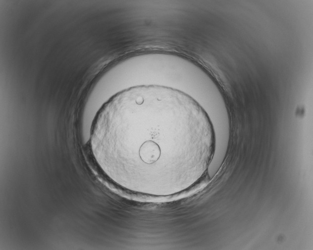 X0000116280116201001111044