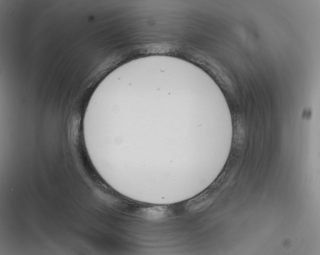 X0000116280118201001111044