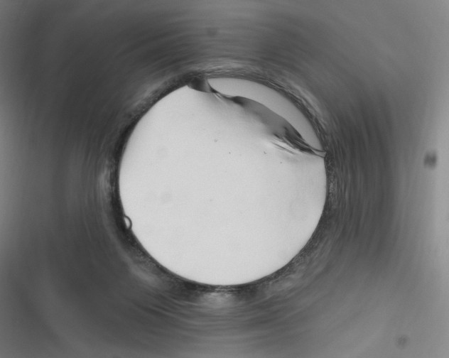 X0000116280119201001111044