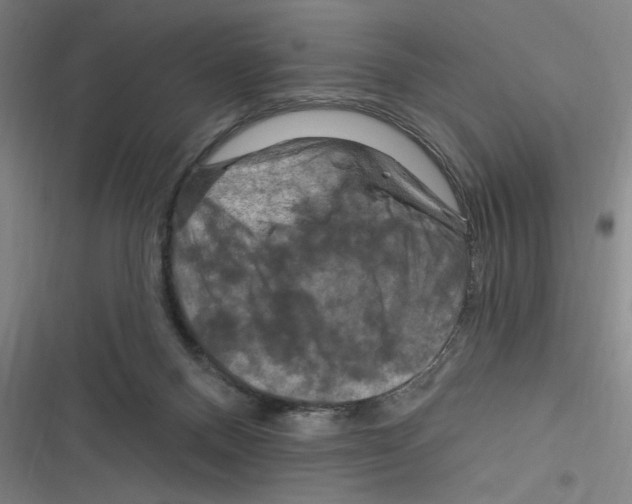 X0000116280120201001111044