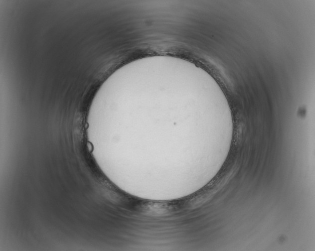 X0000116280121201001111044