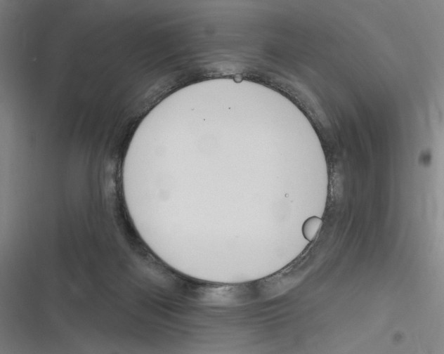 X0000116280122201001111044