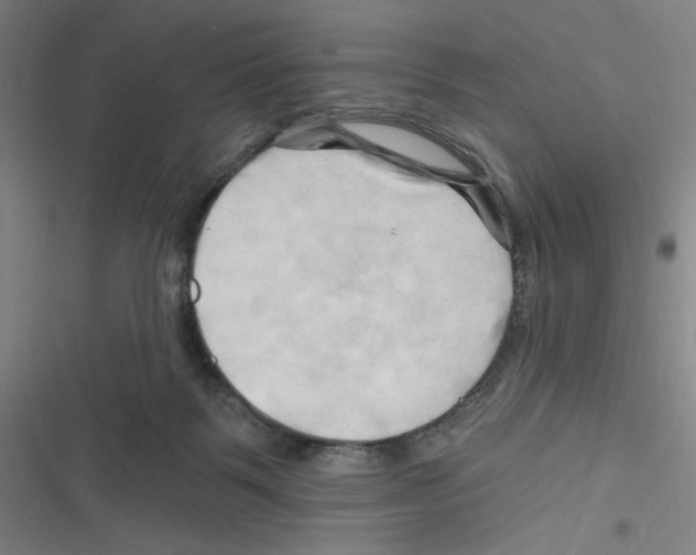 X0000116280123201001111043