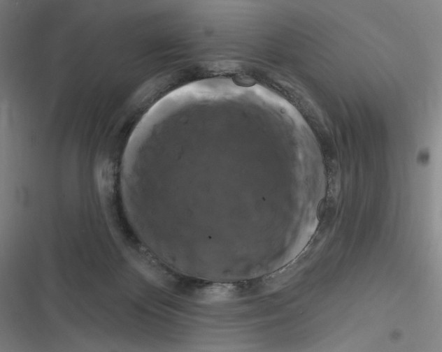 X0000116280124201001111043