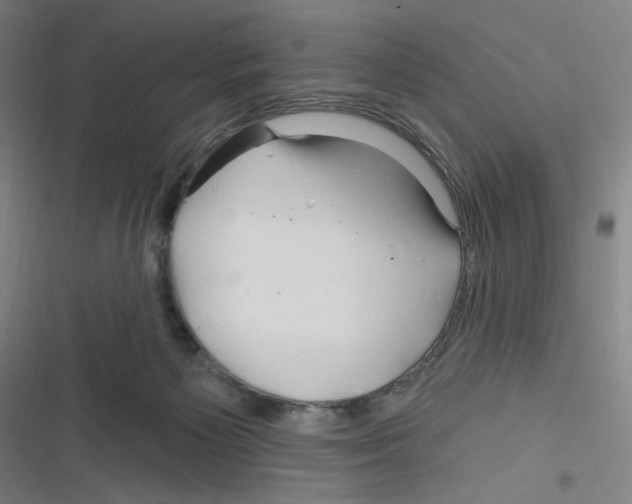 X0000116280125201001111043