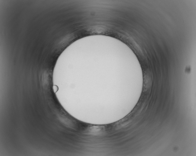 X0000116280126201001111043