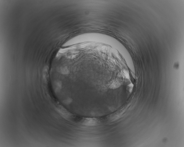 X0000116280127201001111043