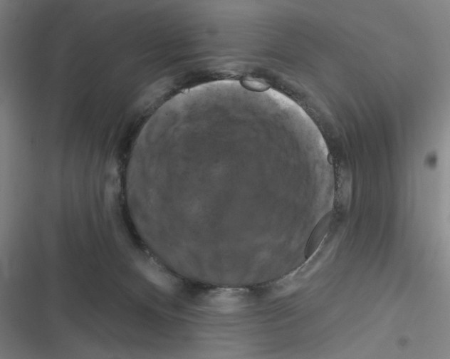 X0000116280128201001111043