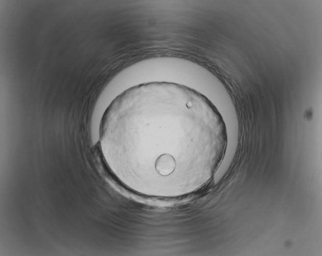 X0000116280129201001111043