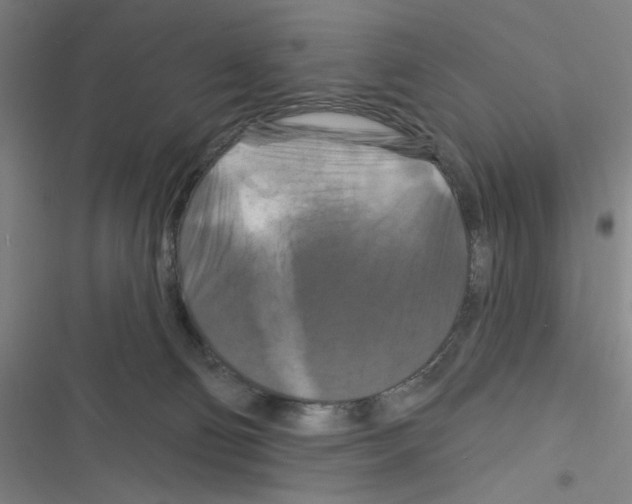 X0000116280130201001111043