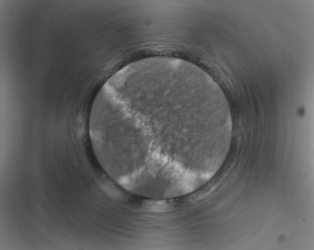 X0000116280131201001111043
