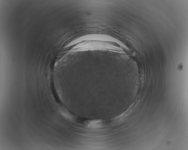 X0000116280132201001111043
