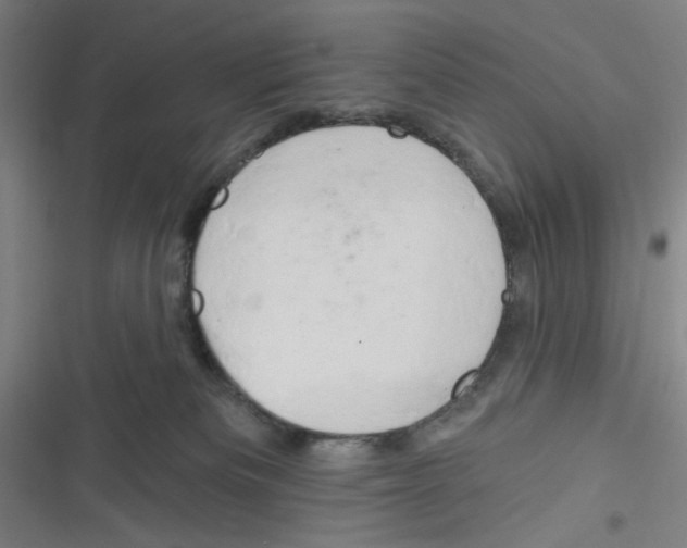 X0000116280133201001111043