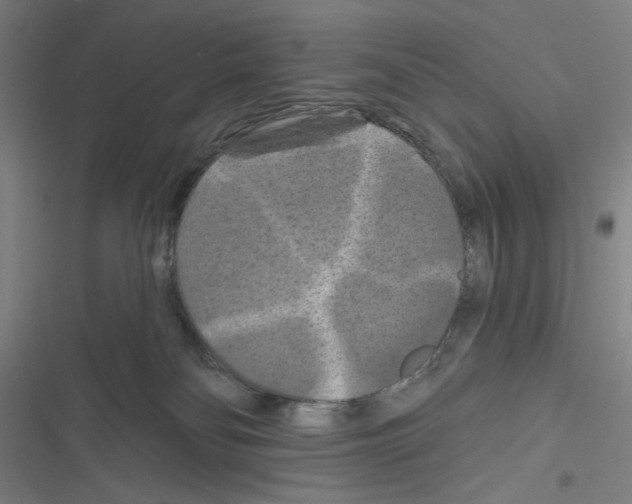 X0000116280134201001111043