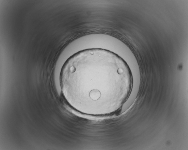 X0000116280136201001111043