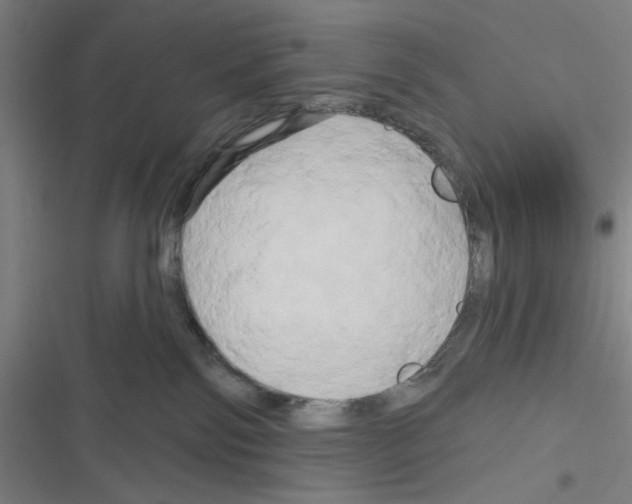 X0000116280138201001111043
