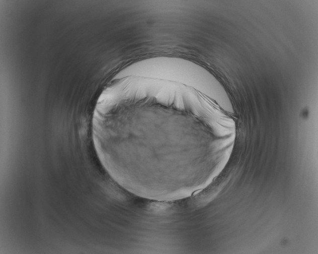 X0000116280139201001111043