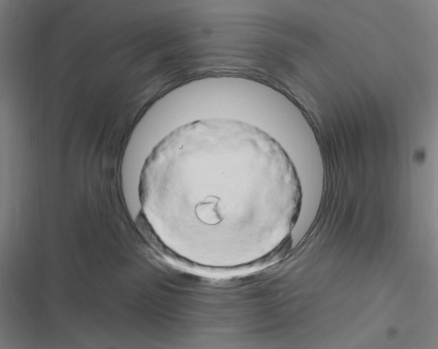 X0000116280141201001111043