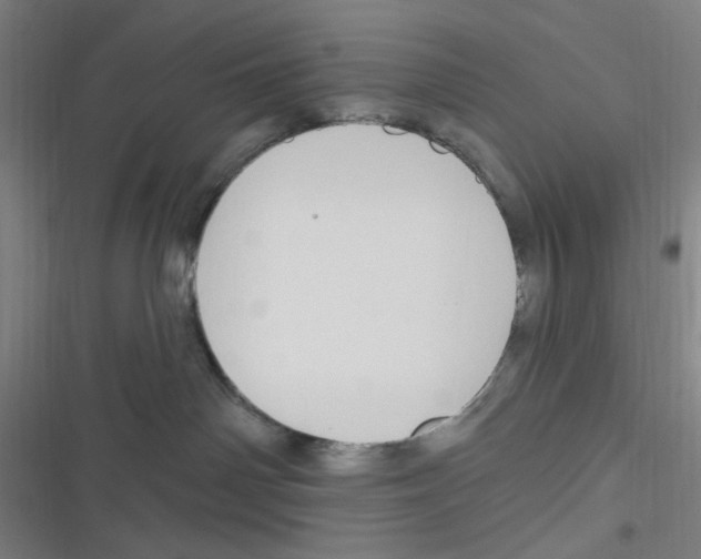 X0000116280142201001111043