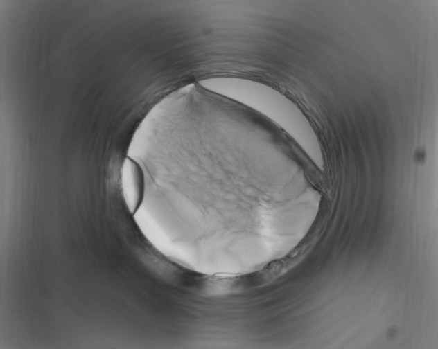X0000116280143201001111043