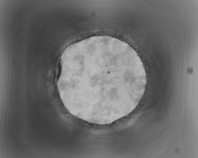 X0000116280144201001111043