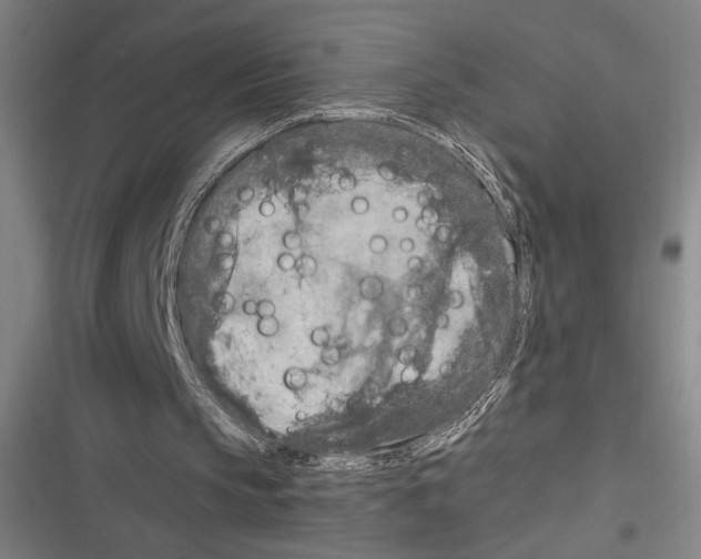 X0000116280145201001111043