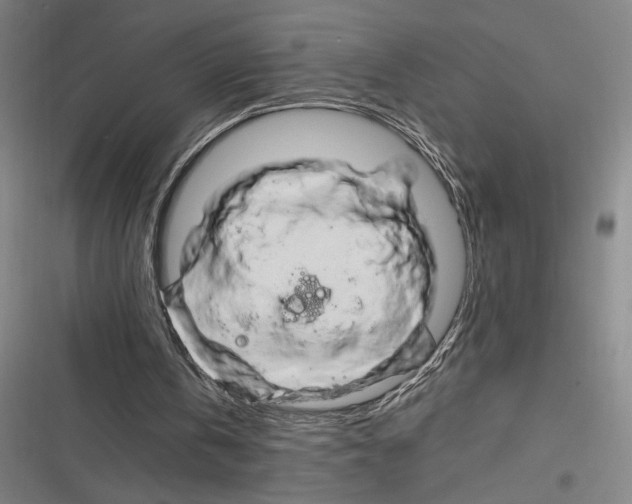 X0000116280146201001111043