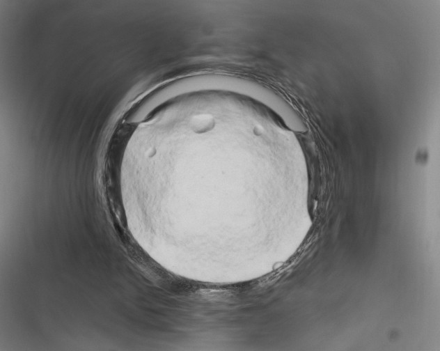 X0000116280150201001111043