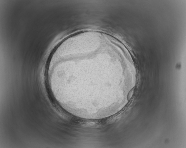 X0000116280151201001111043