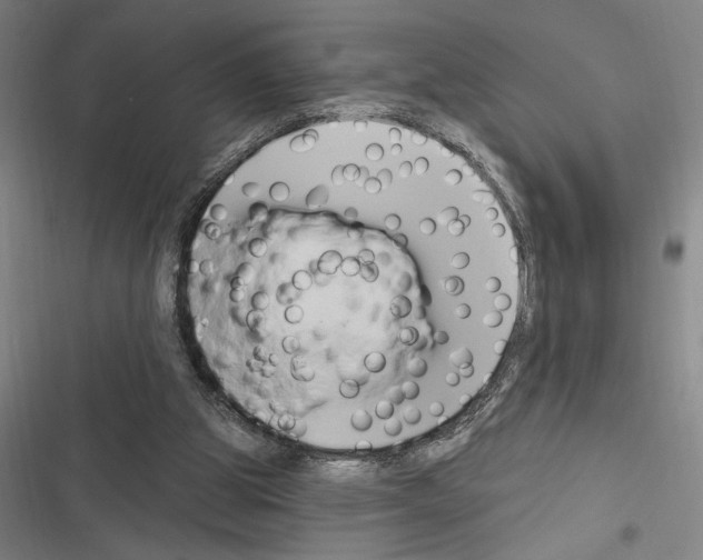 X0000116280153201001111043