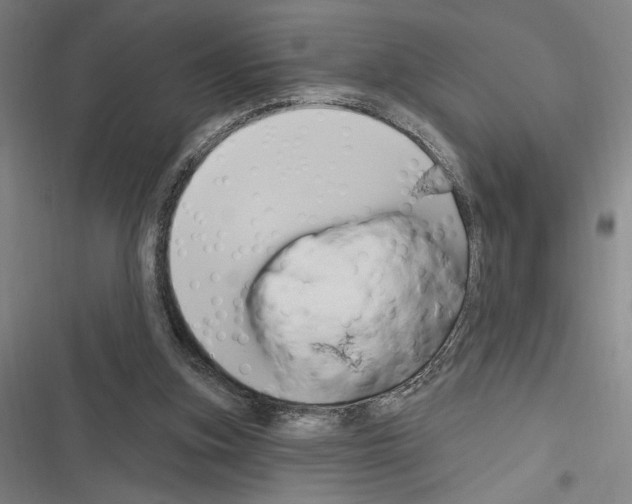 X0000116280155201001111043