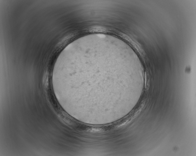 X0000116280157201001111043