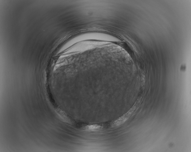 X0000116280158201001111043