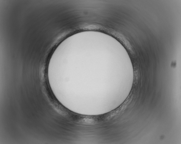X0000116280159201001111043