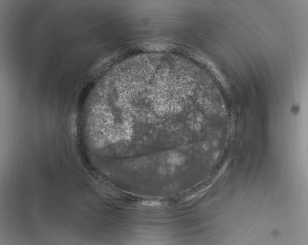 X0000116280161201001111043