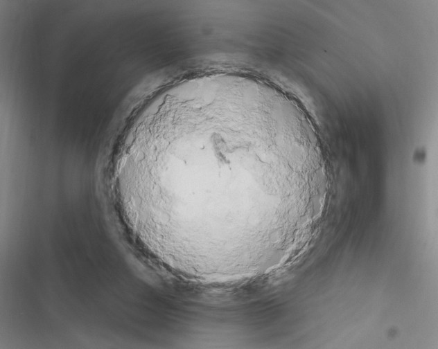 X0000116280162201001111043
