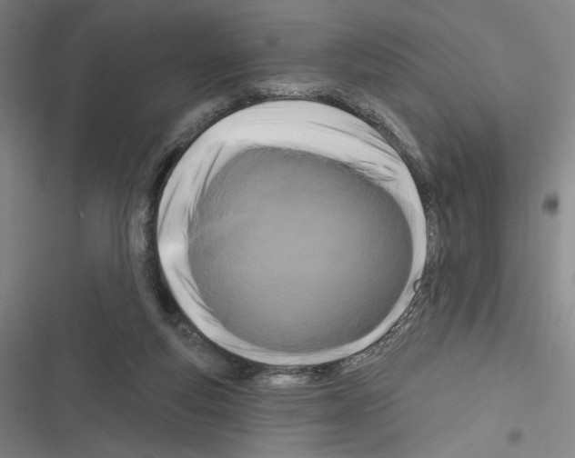 X0000116280163201001111043