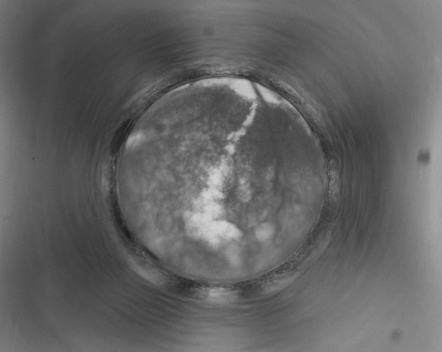 X0000116280165201001111043