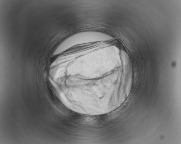 X0000116280166201001111043