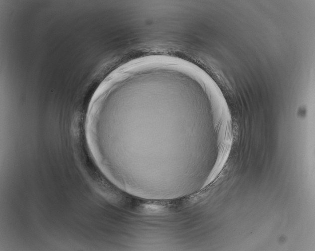 X0000116280167201001111043