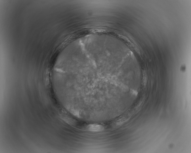 X0000116280169201001111043