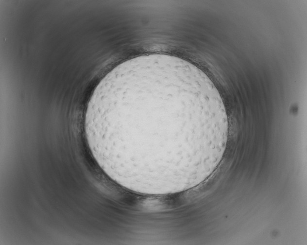 X0000116280171201001111043