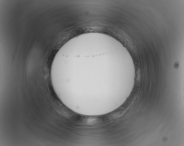 X0000116280173201001111043