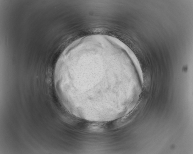 X0000116280175201001111043