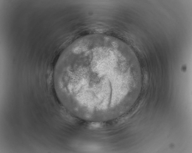X0000116280177201001111043