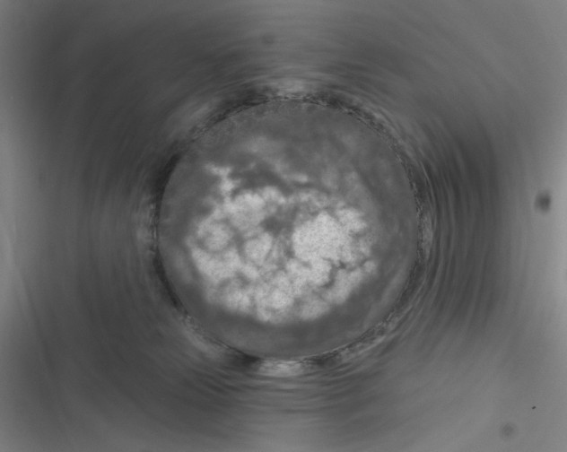 X0000116280181201001111043