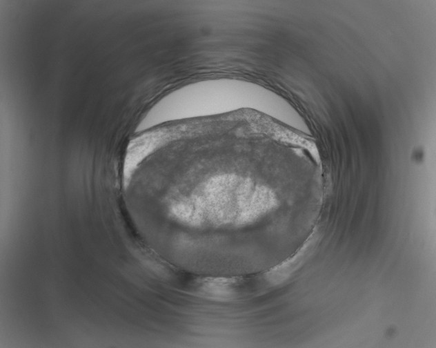 X0000116280182201001111043