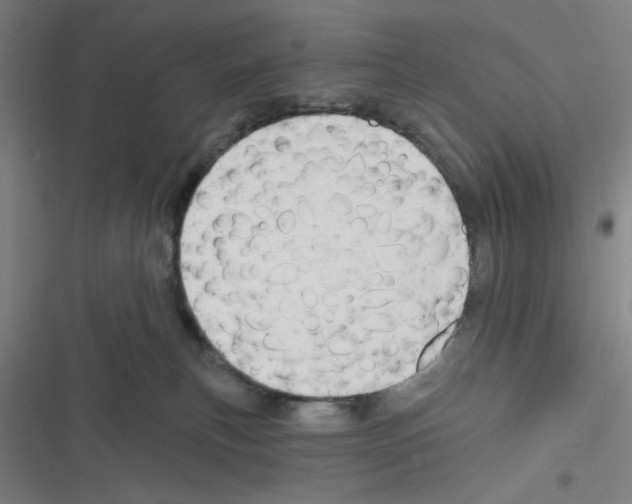 X0000116280183201001111043