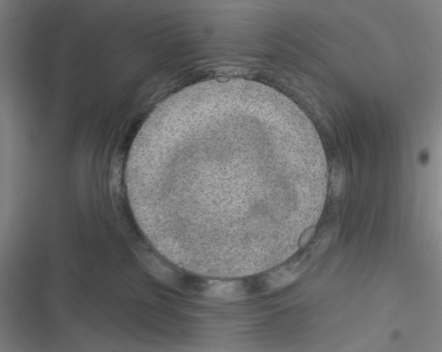 X0000116280185201001111043